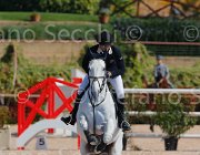 CHIAUDANI AMERICAN BLUE CampITA2013- S5 9082 : AMERICAN BLUE VAN EEKLELCHEM, CHIAUDANI NATALE, Campionati Italiani 2013, Cattolica, Horse Riviera Resort, foto di Stefano Secchi ©